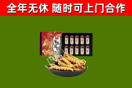 南昌市回收冬虫夏草价格