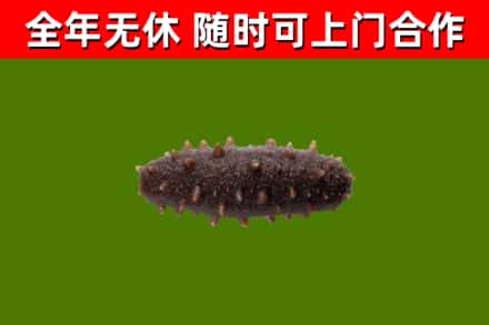 南昌市烟酒回收干海参.jpg